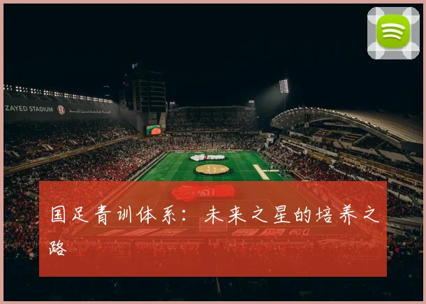 国足青训体系:未来之星的培养之路